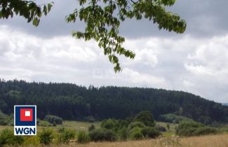Działka budowlana na sprzedaż Stary Wielisław, Polanica Zdrój